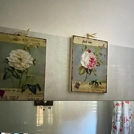 My Garden Έμπολι
